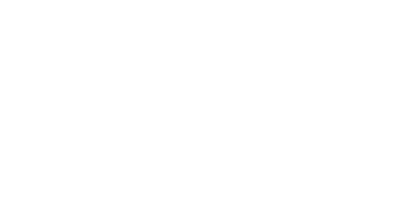 Royal Corporation Audit